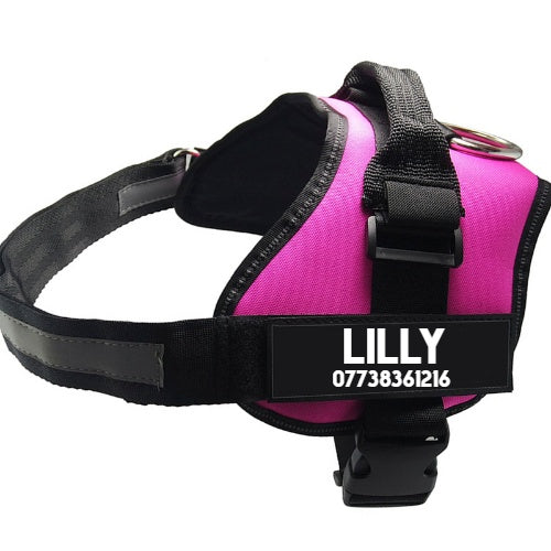 Pet Chest Harness Dog Leash Pet Supplies