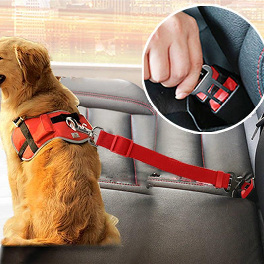 Dog wearing a red traction belt secured to a car seat for safety.